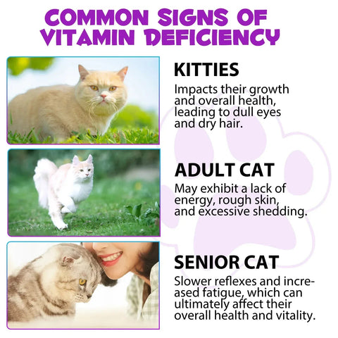 15-In-1 Cat Vitamins - Coat and Skin Support Nutriamazonia - nutriamazonia