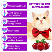 15-In-1 Cat Vitamins - Coat and Skin Support Nutriamazonia - nutriamazonia