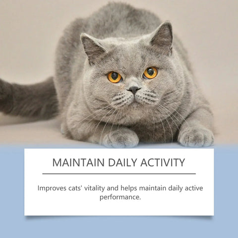 Cat Vitamin Drops - Immune Support Yegbong For Cats - nutriamazonia