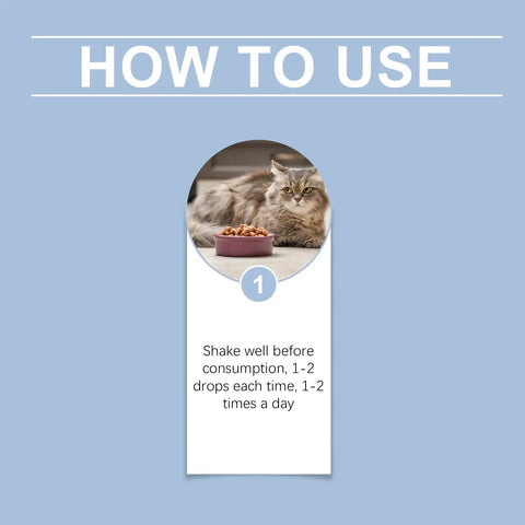 Cat Vitamin Drops - Immune Support Yegbong For Cats - nutriamazonia