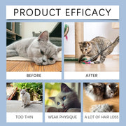 Cat Vitamin Drops - Immune Support Yegbong For Cats - nutriamazonia