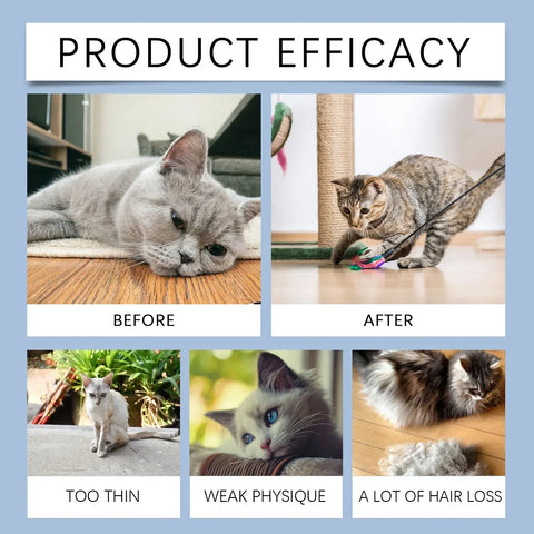 Cat Vitamin Drops - Immune Support Yegbong For Cats - nutriamazonia