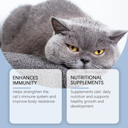 Cat Vitamin Drops - Immune Support Yegbong For Cats - nutriamazonia