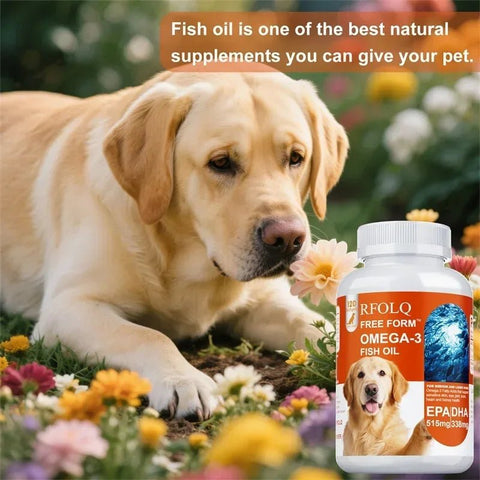 Dog Fish Oil Softgels - Joint Health, Mobility And Coat Support Nutriamazonia Dogs Premium - nutriamazonia