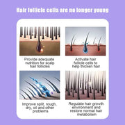 Mens Multivitamin - All-In-One Daily Health Bcuelov Men Vital - nutriamazonia