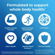 Multivitamin - Energy Immunity Metabolism Support Adults - nutriamazonia