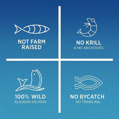 Omega 3 Fish Oil - Brain Health and Mood Support Xemenry - nutriamazonia