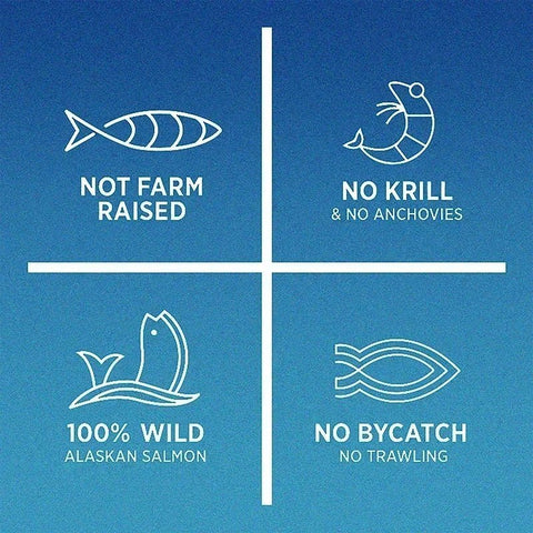 Omega 3 Fish Oil - Supports Brain Health And Memory - nutriamazonia