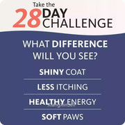 Salmon Fish Oil For Pets - Omega-3 For Healthy Skin And Coat - nutriamazonia