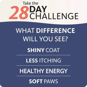 Salmon Fish Oil For Pets - Supports Shiny Coat NutriAmazonia - nutriamazonia