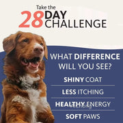 Salmon Oil - Chemical-Free Omega Fatty Acids For Pets - nutriamazonia