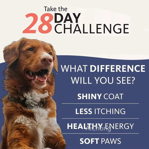 Salmon Oil - Chemical-Free Omega Fatty Acids For Pets - nutriamazonia