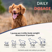 Salmon Oil - Chemical-Free Omega Fatty Acids For Pets - nutriamazonia