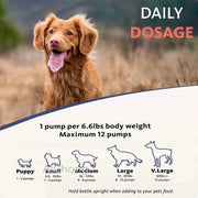 Salmon Oil - Chemical-Free Omega Fatty Acids For Pets - nutriamazonia