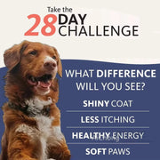 Salmon Oil - Chemical-Free Omega Fatty Acids For Pets - nutriamazonia