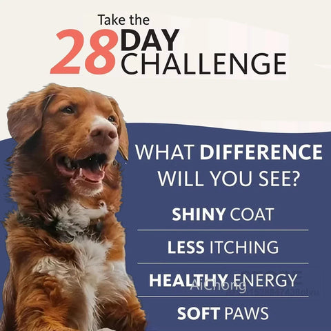 Salmon Oil - Chemical-Free Omega Fatty Acids For Pets - nutriamazonia