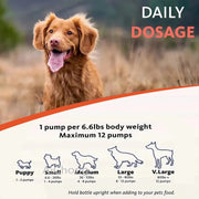 Salmon Oil For Dogs And Cats - Omega Fatty Acids For Health, Skin, And Shine Nutriamazonia Pet Wellness Premium - nutriamazonia