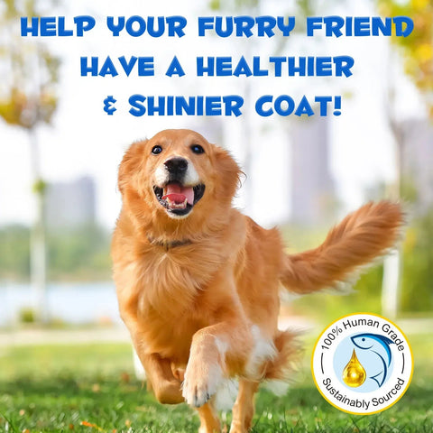 Salmon Oil For Dogs Omega3 - Supports Skin And Coat Health - nutriamazonia