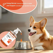 Salmon Oil - Omega 3 Health Booster Nutriamazonia Dogs - nutriamazonia