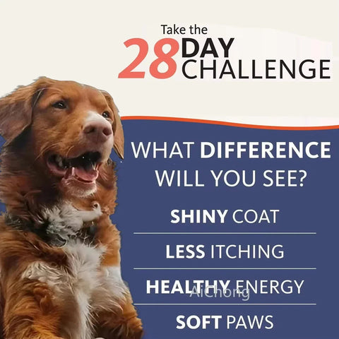 Salmon Oil - Omega 3 Health Booster Nutriamazonia Dogs - nutriamazonia