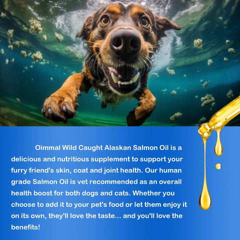 Salmon Oil Omega-3 - Supports Skin And Coat AEVYVKV Elite - nutriamazonia