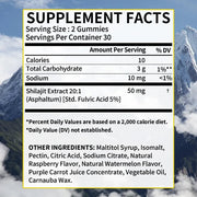 Shilajit Gummies - Energy Endurance Boost Taoters Adults - nutriamazonia